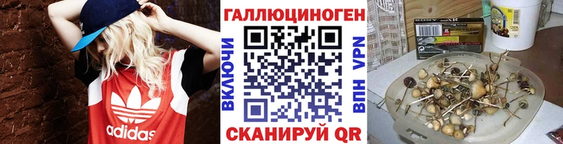 Псилоцибиновые грибы мицелий  Шуя 