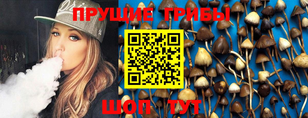 Псилоцибиновые грибы мицелий Шуя