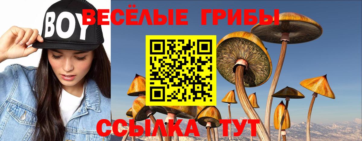 Псилоцибиновые грибы Psilocybine cubensis  Вход с VPN  купить закладку  Шуя 